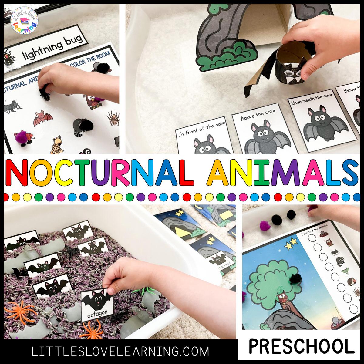 Up all night nocturnal animals activities for preschool prek
