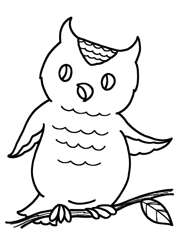 Free printable owl coloring pages for kids