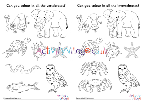 Vertebrates invertebrates louring pages