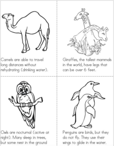Animal facts book printables for kindergarten