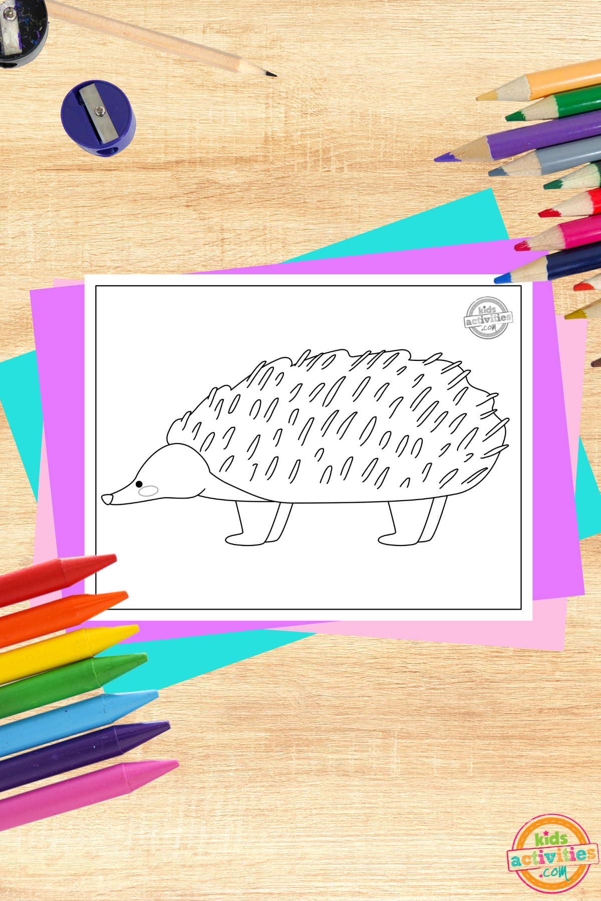 Unique printable echidna coloring page kids activities blog