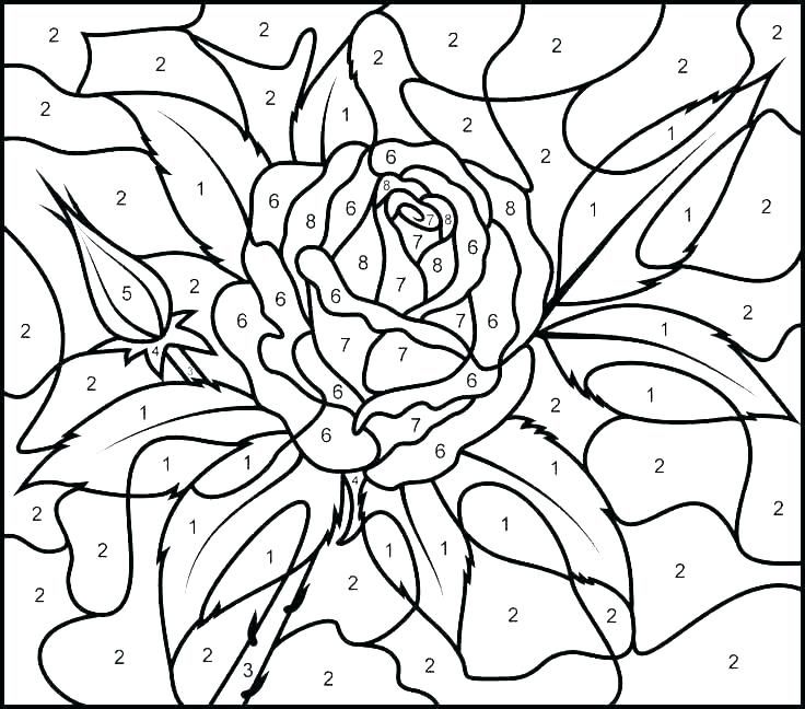 Free color by number pictures adults