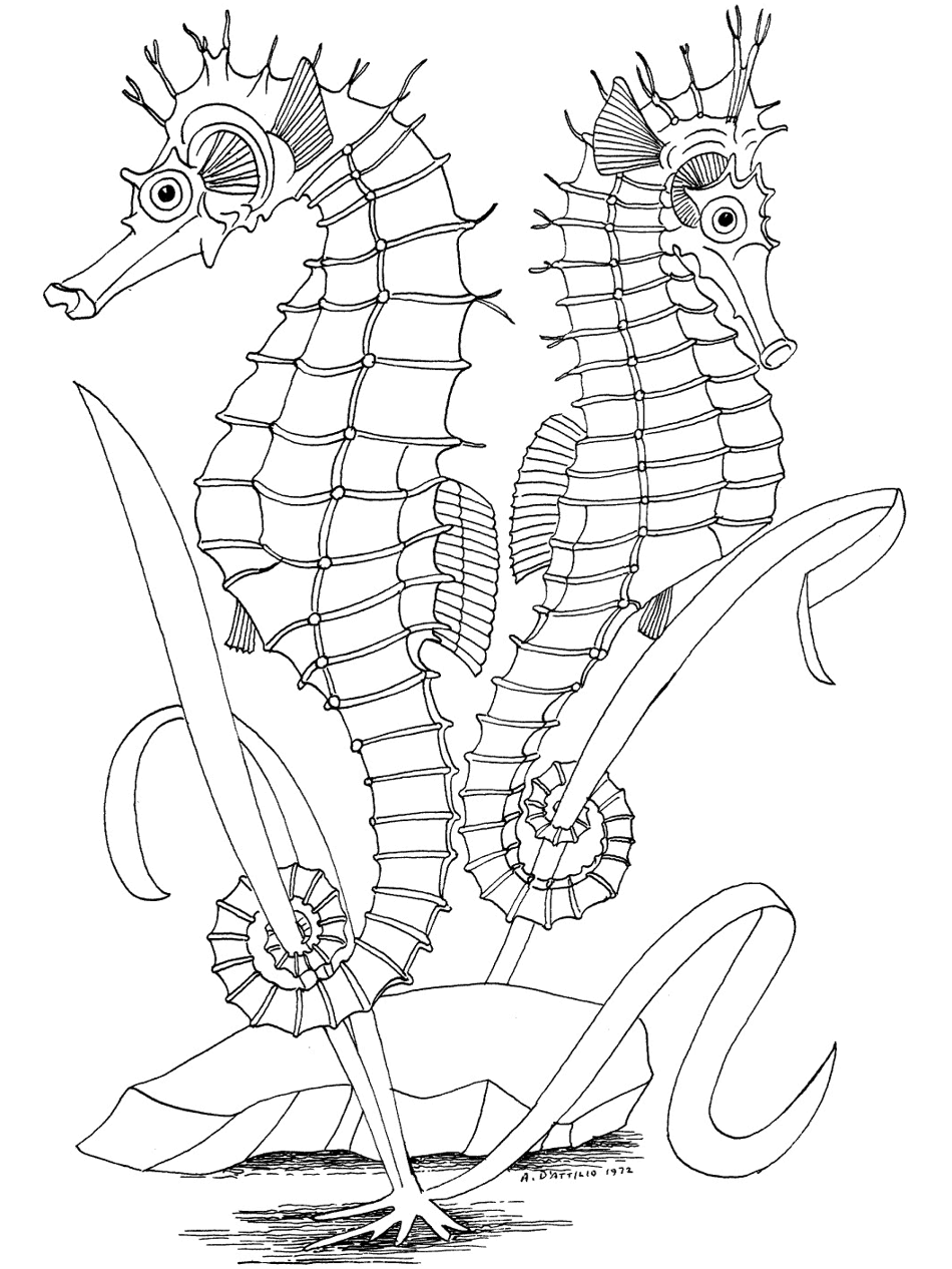 Ocean coloring pages