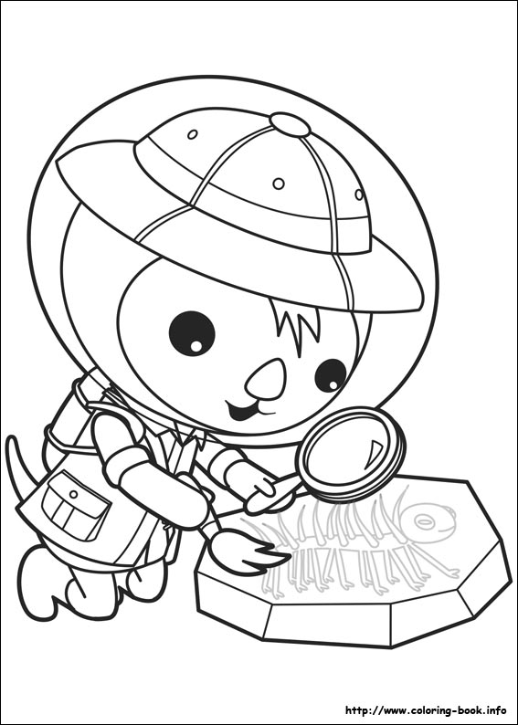 The octonauts coloring picture