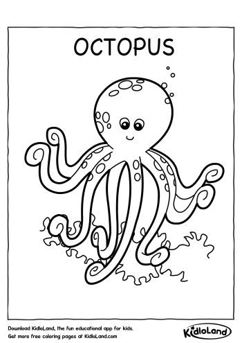 Download free octopus coloring page and educational activity worksheets for kids