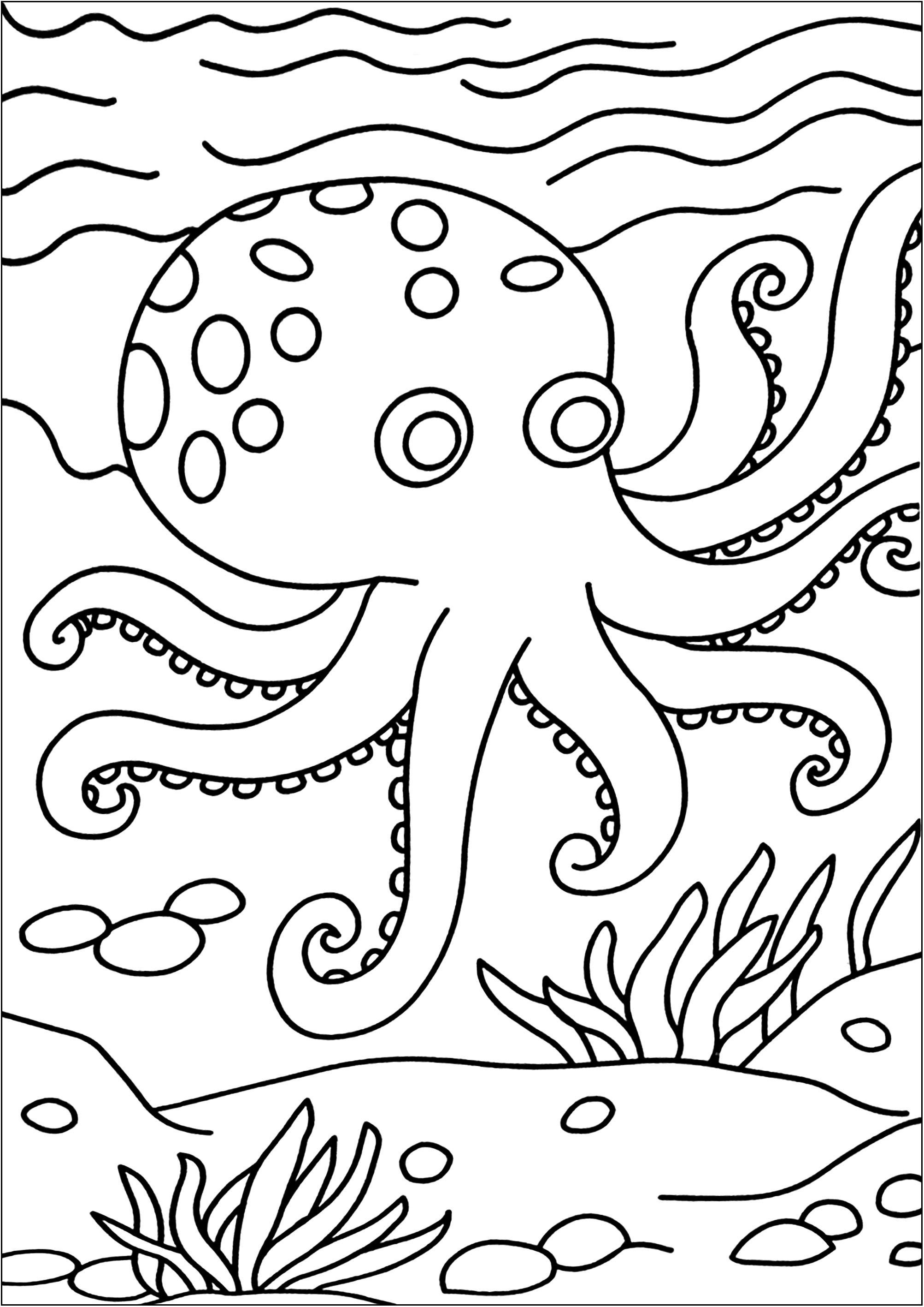Octopuses to download for free