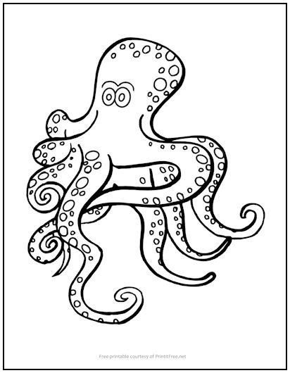 Spotted octopus coloring page print it free