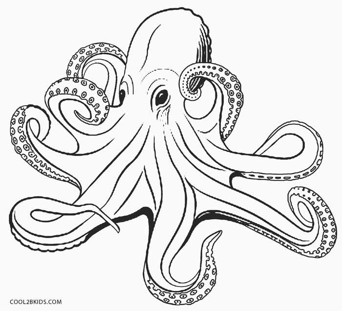 Printable octopus coloring page for kids