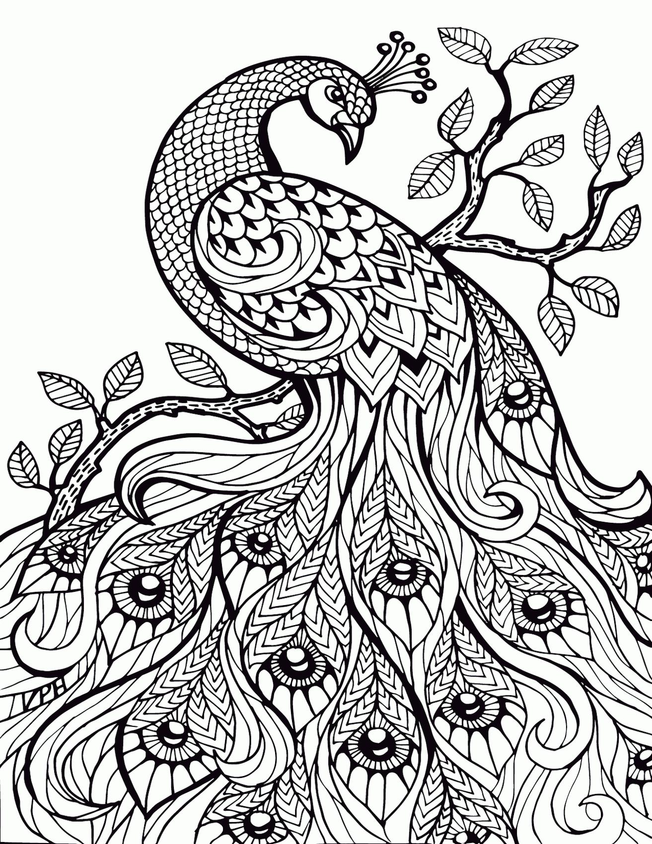 Get this adult coloring pages animals peacock