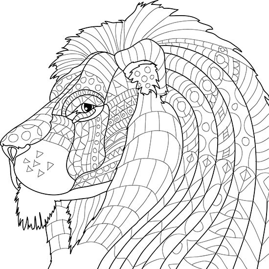 Adult coloring pages animals