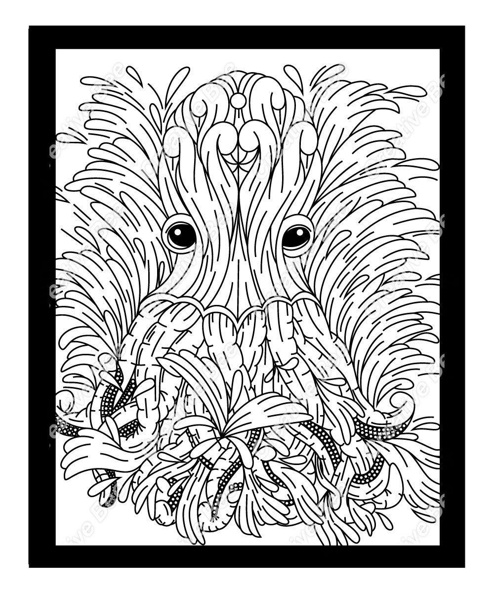 Sea animals adult coloring book