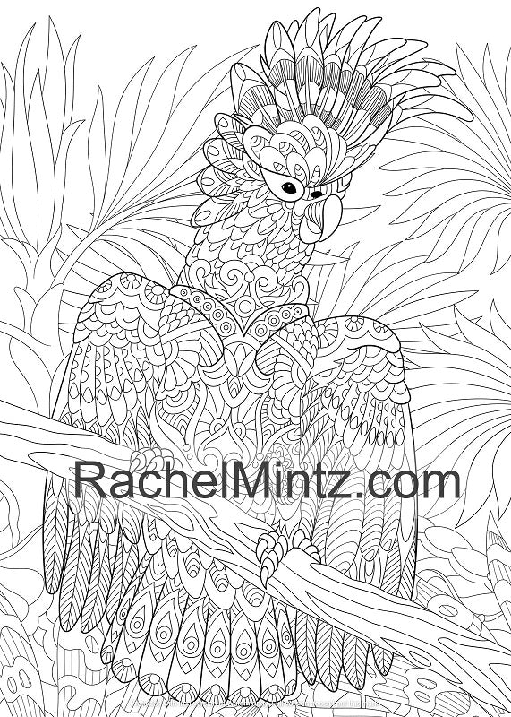 Zen wildlife animals â relaxing coloring book with detailed zentangle â rachel mintz coloring books