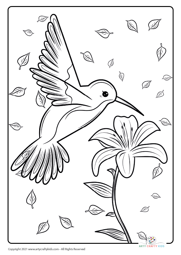 Bird coloring pages