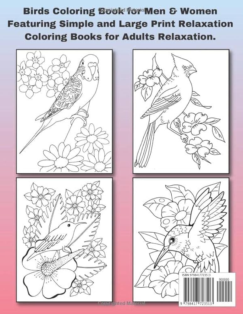 Birds large print coloring book for adult birds coloring book for men women featuring simple and large print relaxation coloring books for adults relaxation book sk books