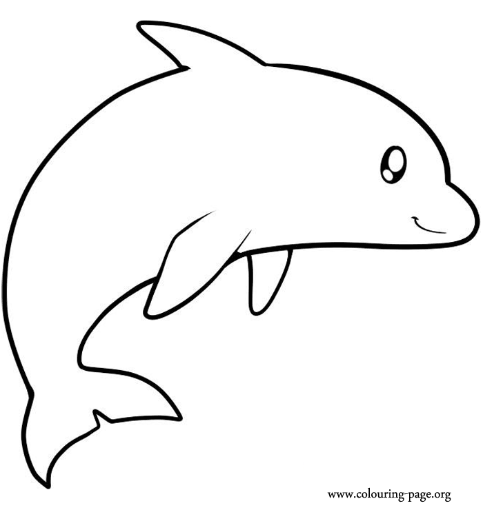 Dolphins