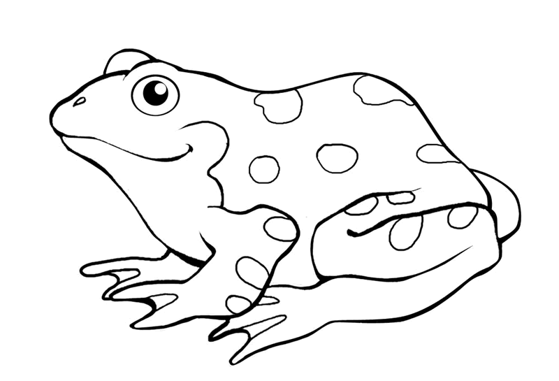 Frog coloring pages pdf printable