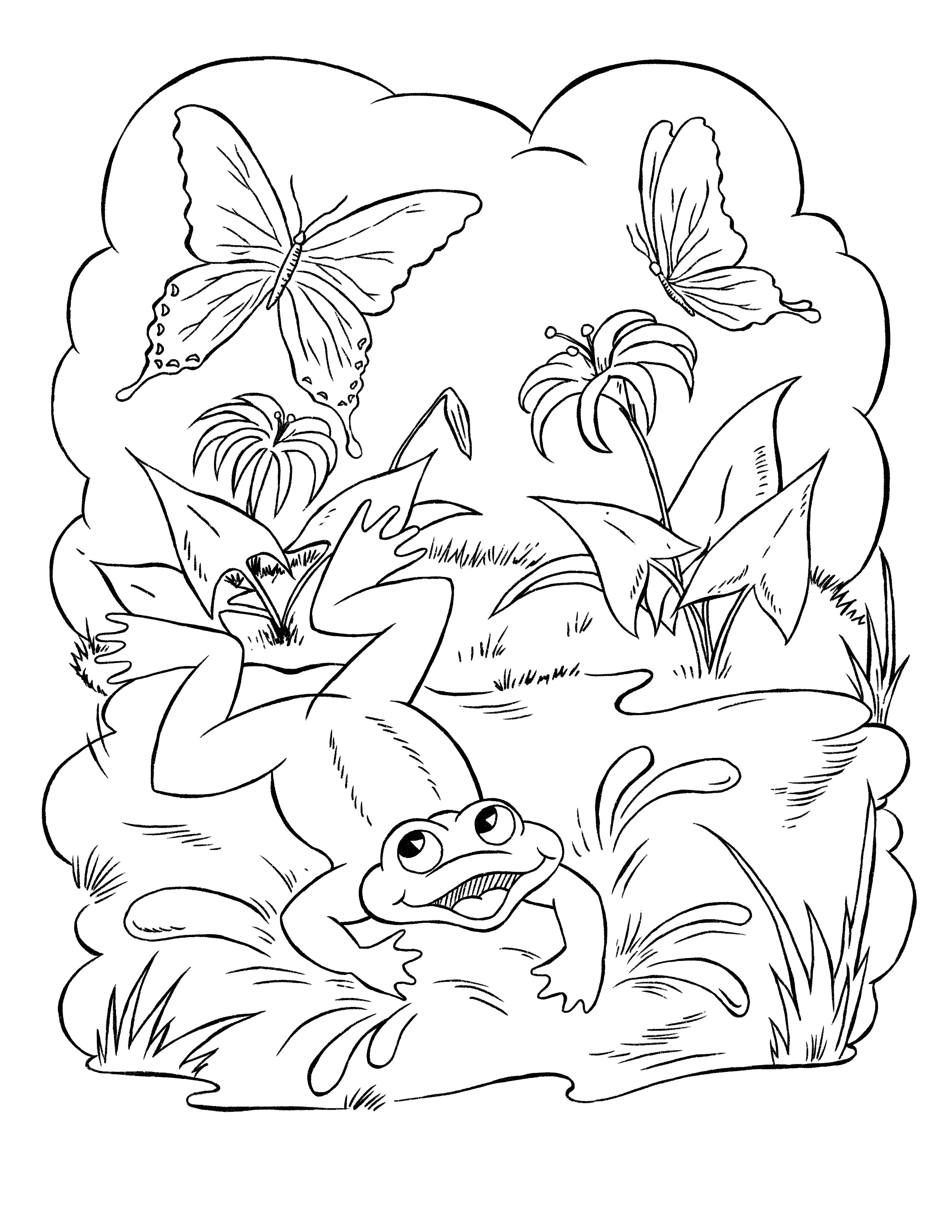 Frog coloring pages