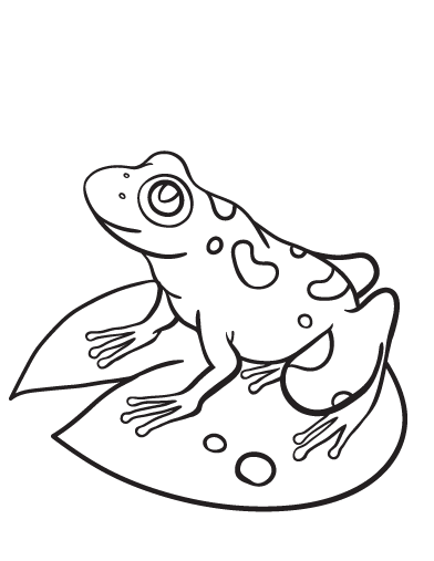 Free frog coloring page
