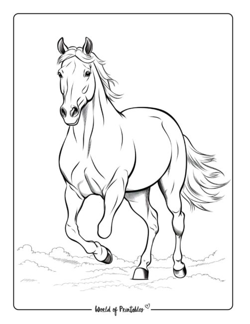 Horse coloring pages for kids adults