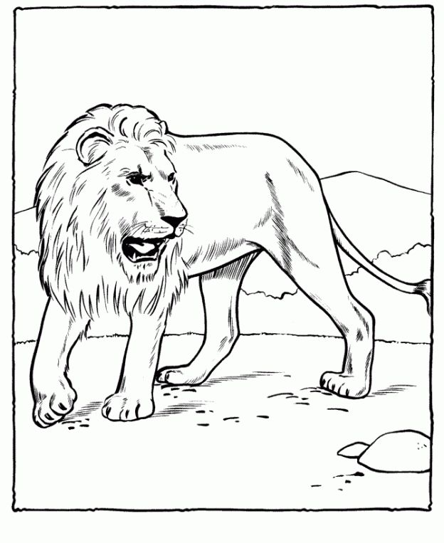 Free printable lion coloring pages for kids pãginas de colorir animais animais do jardim zoolãgico animais lindos