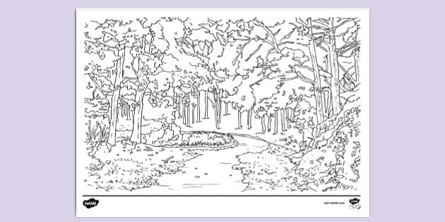 Nature colouring page for kids