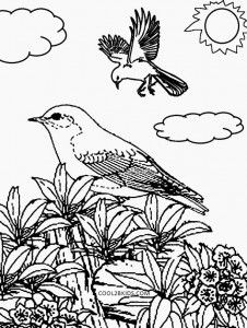 Printable nature coloring pages for kids coloring pages nature animal coloring pages coloring pages