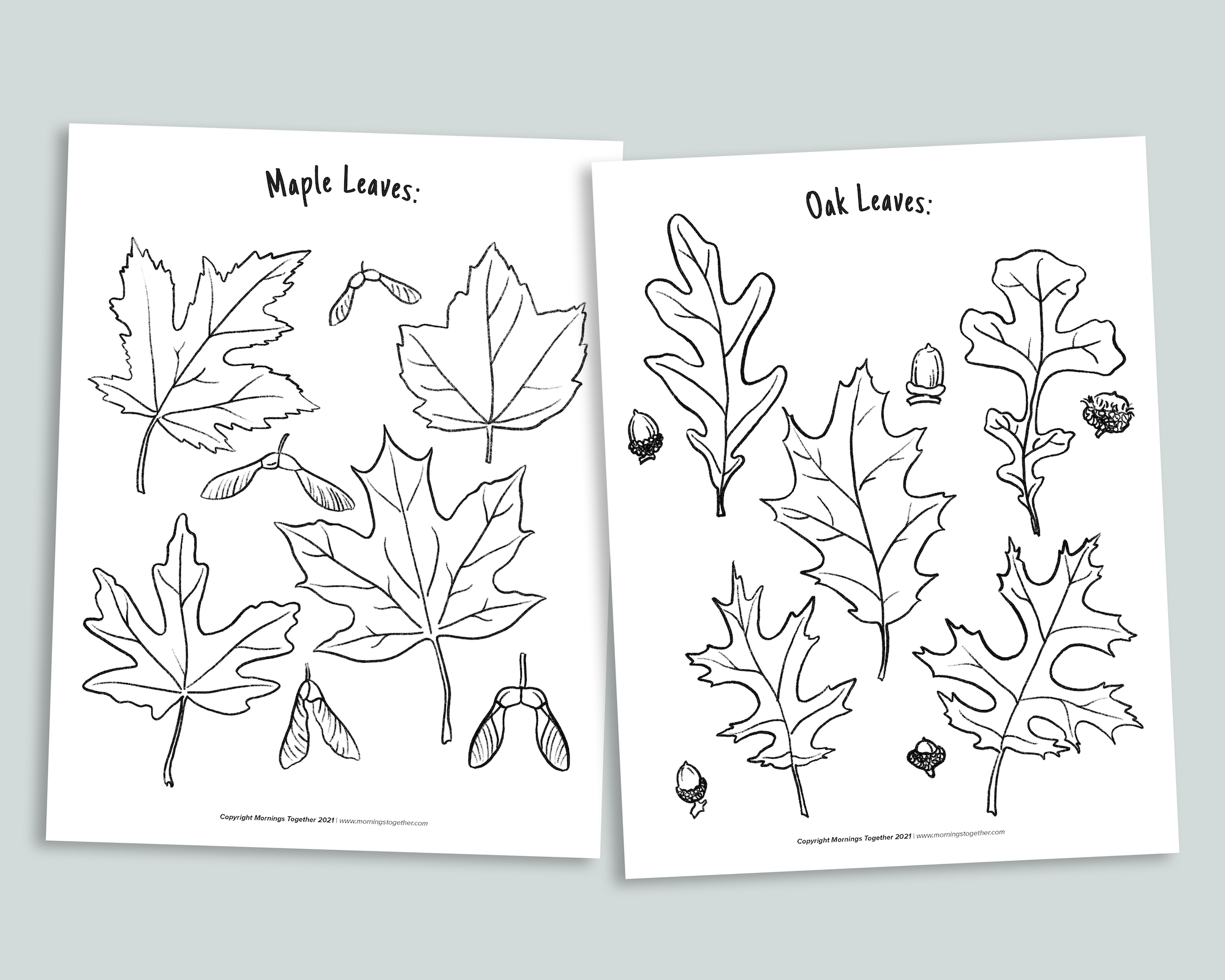 Nature coloring pages â mornings together