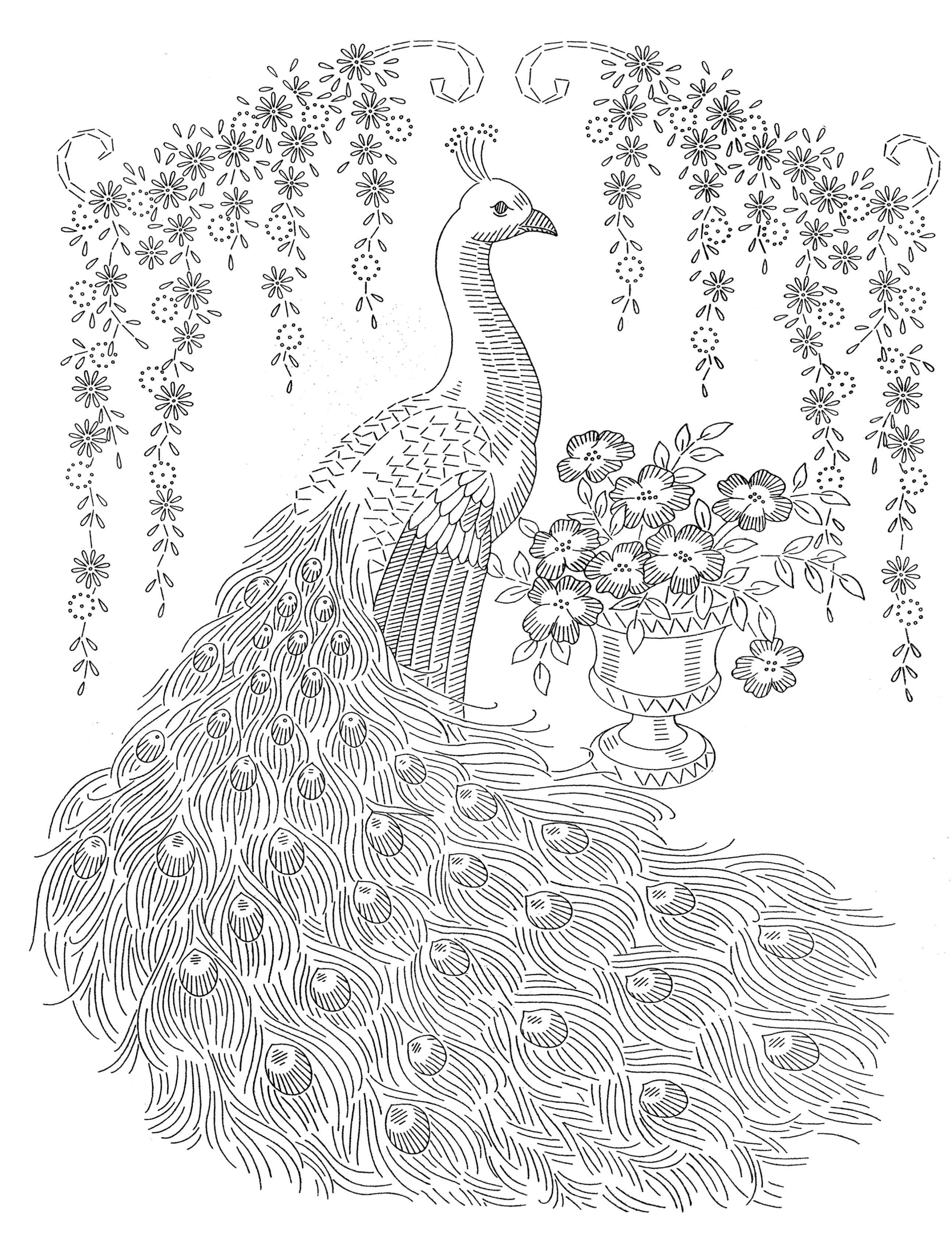Peacock coloring pages for adults