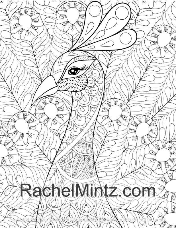 Peacocks