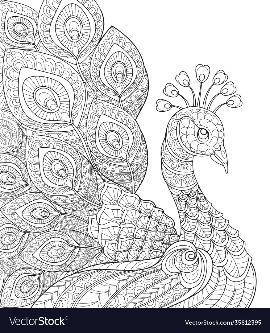 Peacock adult antistress coloring page royalty free vector