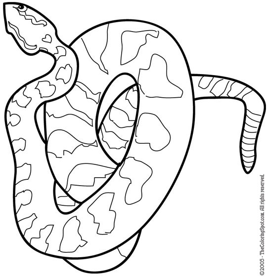 Snake coloring page audio stories for kids free coloring pages colouring printables