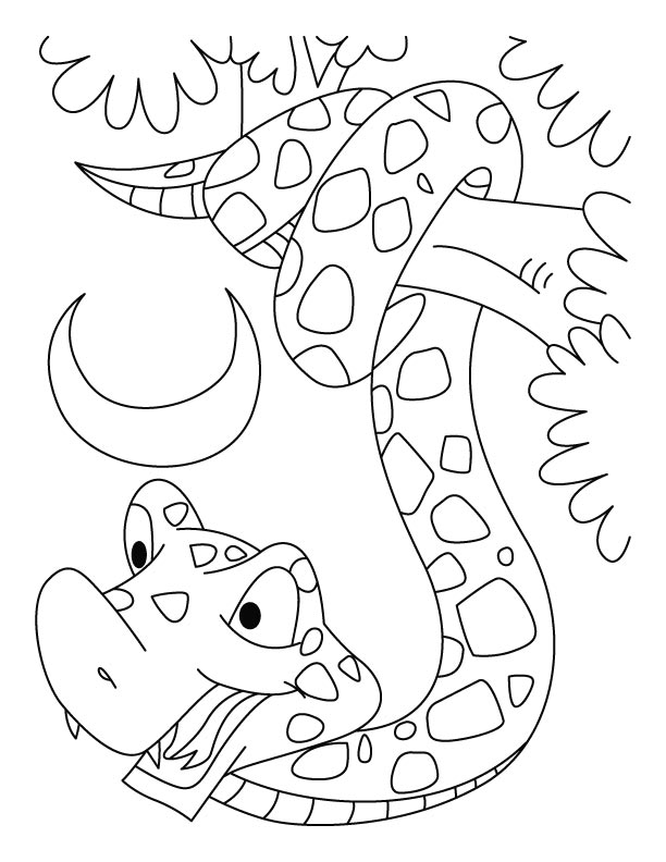 Year of the snake coloring pages download free year of the snake coloring pages for kids best coloring pages