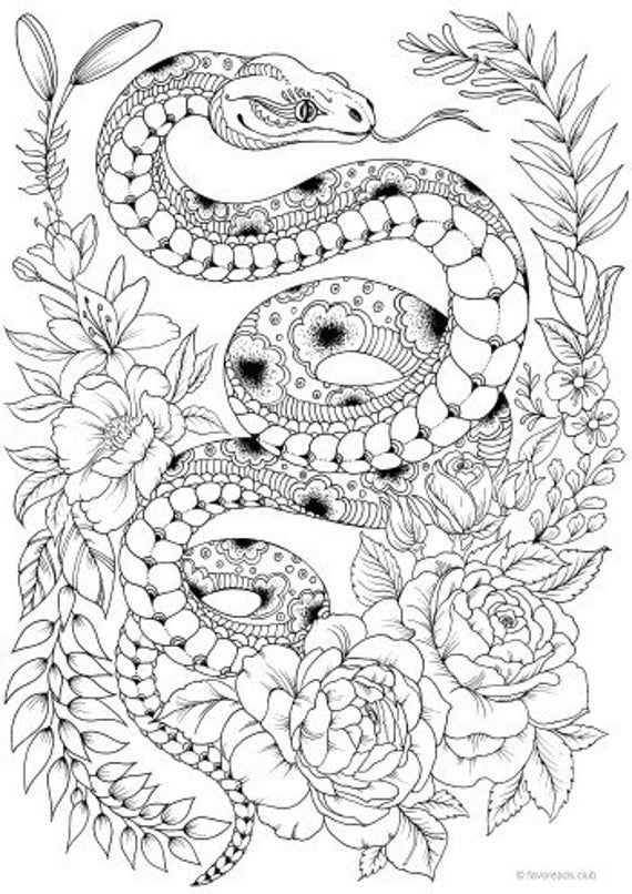 Snake