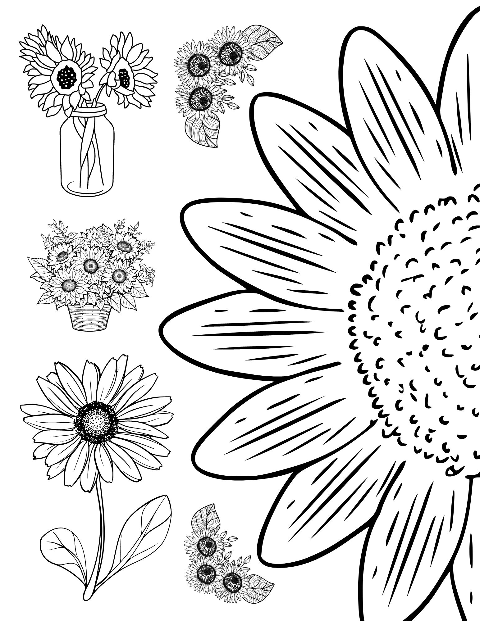 Free sunflower coloring pages for adults and kids