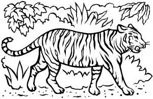 Tiger coloring pages to print