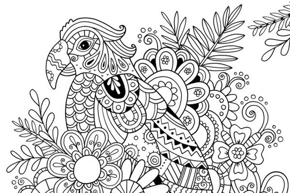 Get this online summer printable coloring pages for adults
