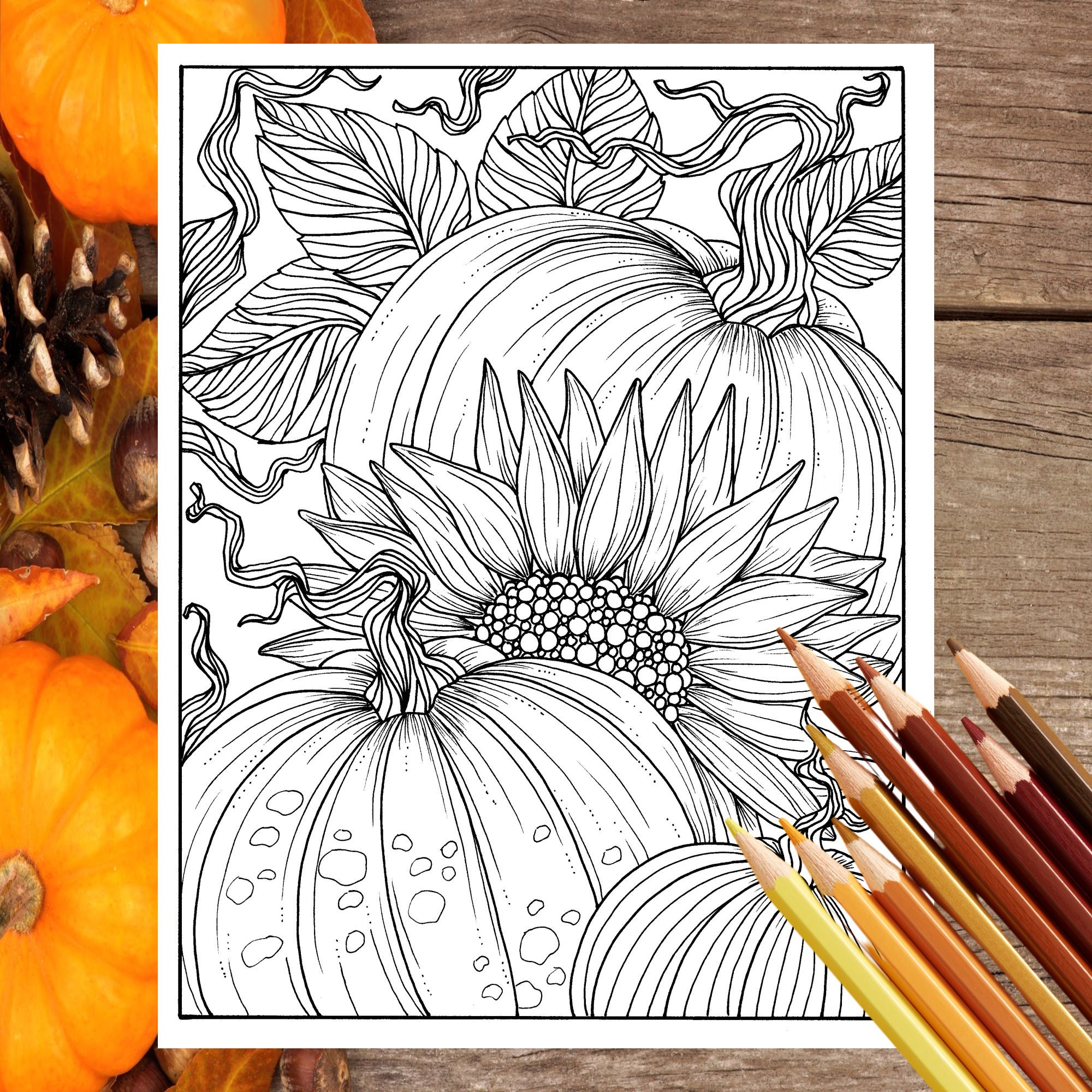 Pumpkins and sunflower digital coloring page fall adult coloring digi stamp thanksgiving download now