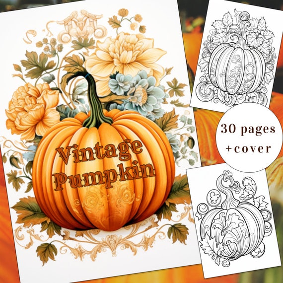 Autumn vintage pumpkins coloring page autumn coloring book vintage coloring book adults kids instant download printable pdf