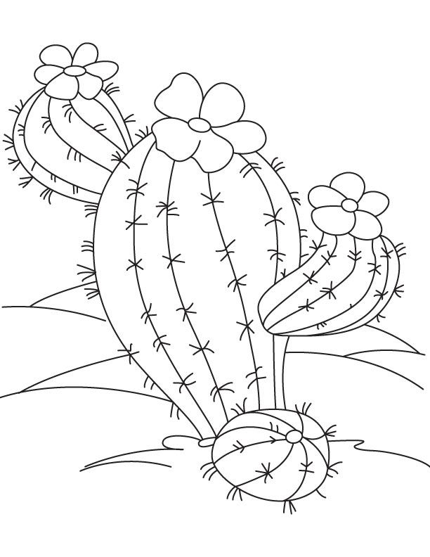 Desert cactus coloring page cactus paintings coloring pages pattern coloring pages