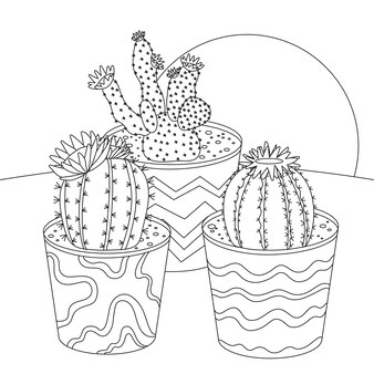 Cactus coloring sheet vectors illustrations for free download