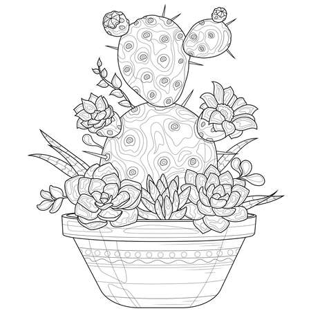 Adult coloring pages cactus cliparts stock vector and royalty free adult coloring pages cactus illustrations