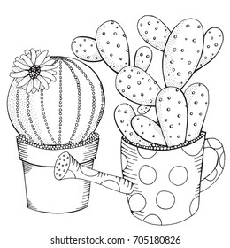 Succulent coloring page images stock photos d objects vectors