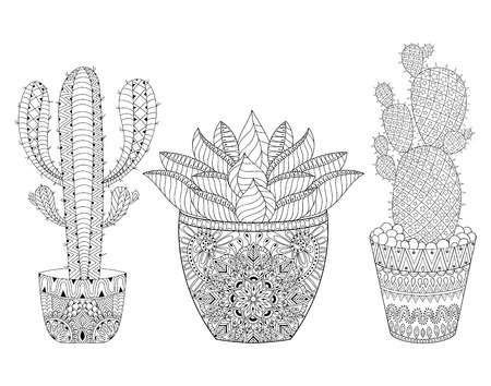 Adult coloring pages cactus cliparts stock vector and royalty free adult coloring pages cactus illustrations