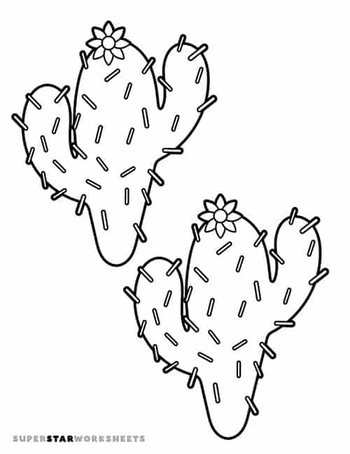 Cactus template