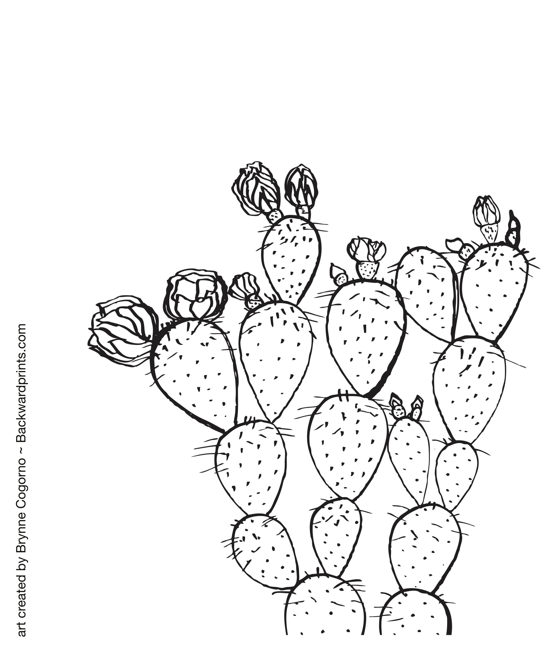 Cactus coloring page â blog â backward prints