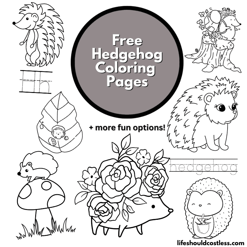 Hedgehog coloring pages free printable pdf templates