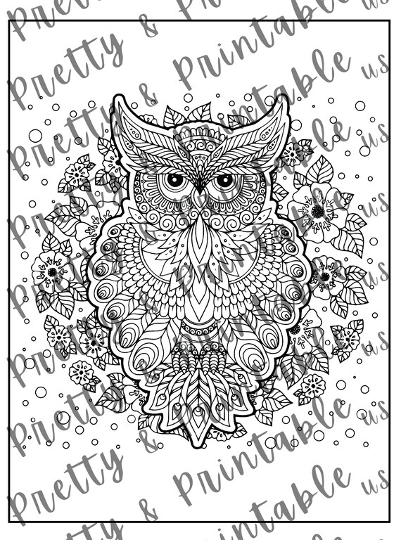 Printable owl coloring page instant download pdf