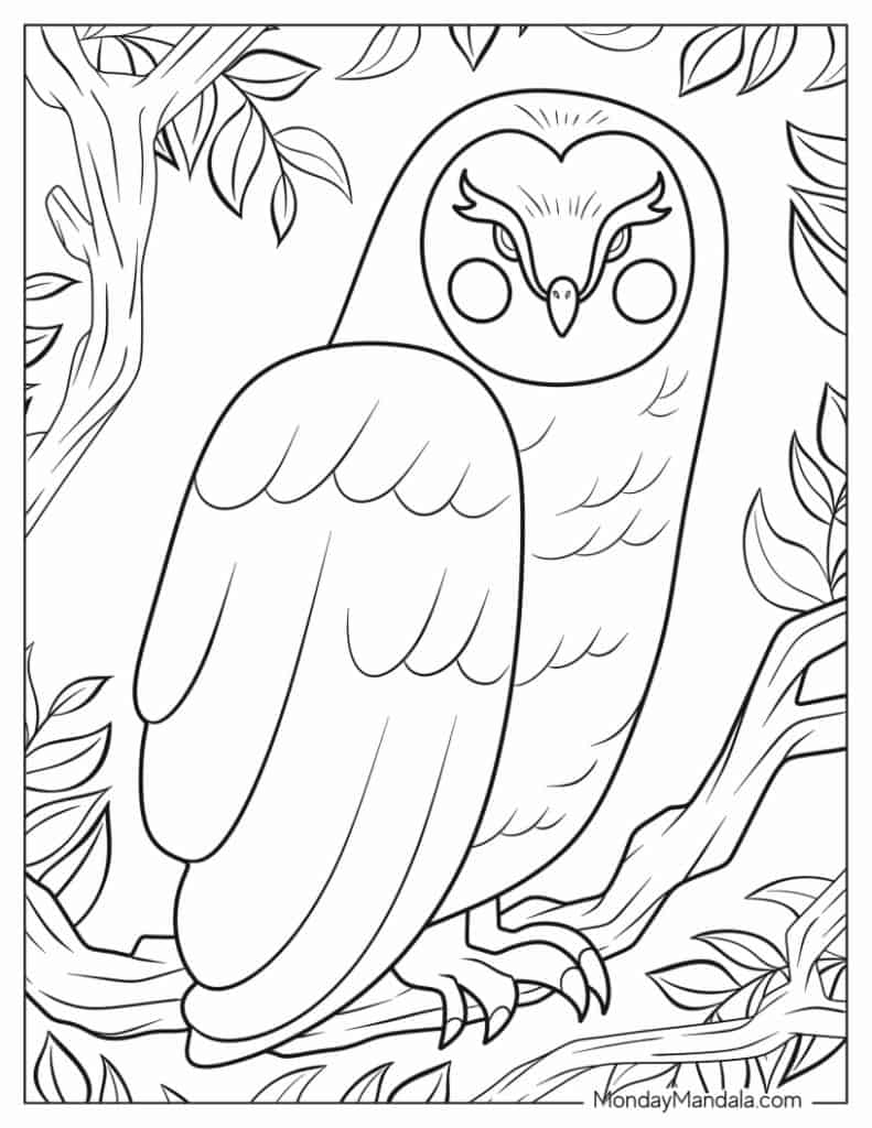 Owl coloring pages free pdf printables