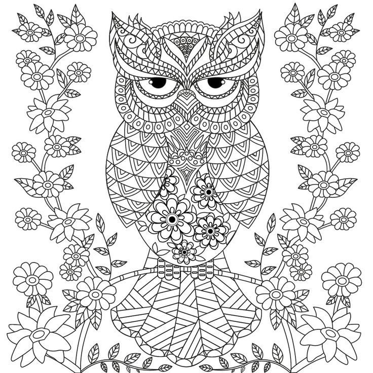 Resultado de imagen de coloring page owl dreamcatcher owl coloring pages detailed coloring pages printable coloring pages