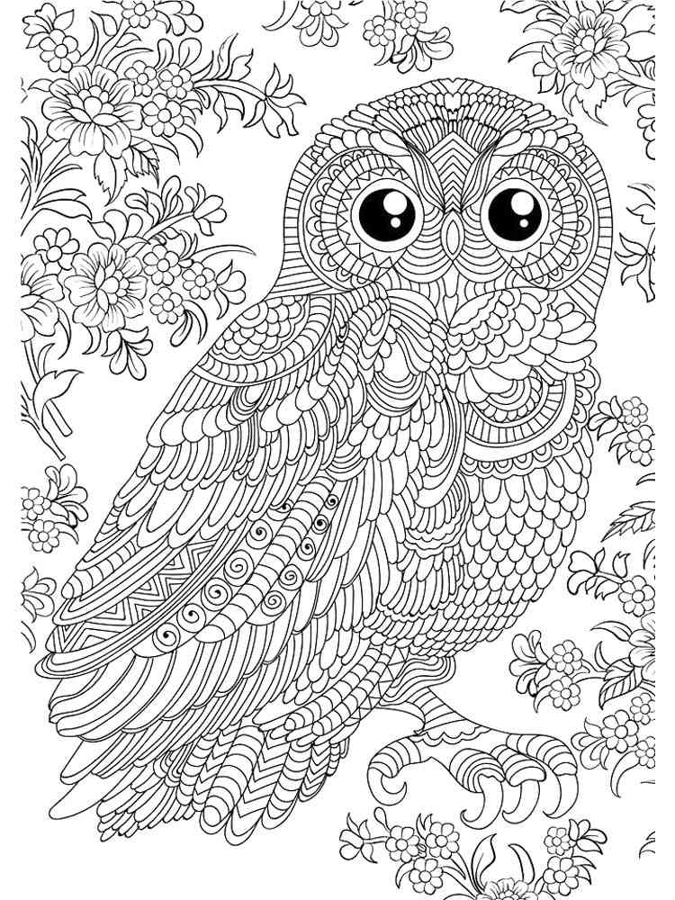 Owl coloring pages for adults